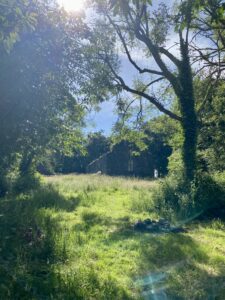 Trinity Lough Key Retreats